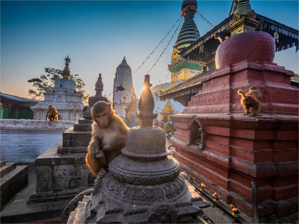 Monkey Temple